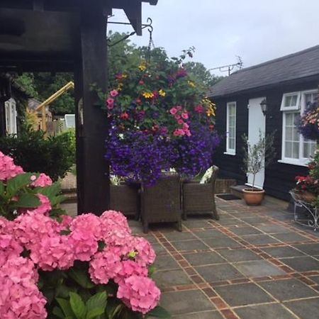 Bed and Breakfast The Coach House Rudgwick Esterno foto