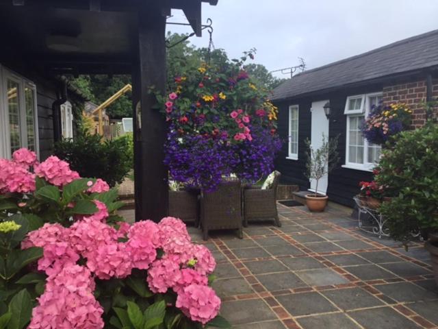 Bed and Breakfast The Coach House Rudgwick Esterno foto